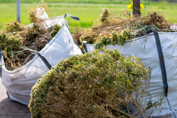 Best Hoarding Cleanup  in Wrightsville, AR